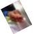 Monz Salazar's profile image