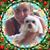 Katie Hinman Hockman's profile image