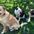 Libby Westley's profile image