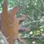Holly DeNiord Frasier's profile image