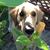 Mary Ann Bachowski-Huffman's profile image
