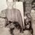 Noreen Carey's profile image