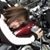 Shelli Glass McIntosh's profile image