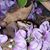Jill Silcott's profile image