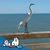 Theresa Patterson Carmichael's profile image