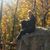 Laura Seeger's profile image