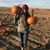 Brittany Kopren's profile image