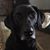 Jean Wilson Mensinger's profile image
