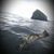 Mark Scheelar's profile image