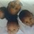 Johnelia Whittaker's profile image