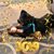Eugene Wilson's profile image