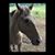Karen Church's profile image