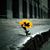 Angie Leonard Woodbury's profile image