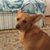 Sharon Miller's profile image