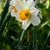 Christine Provencial Holcomb's profile image