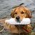 Christine Marinelli's profile image