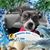 Sharyn Blyweiss Goldberg's profile image