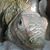 Keith Hubbard's profile image