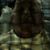 Tony D. Sedberry's profile image