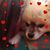 Tina Hill's profile image