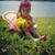 Beth Simmons's profile image
