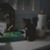 Debra Leibowitz's profile image