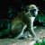 Jeff Lakritz's profile image