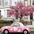 Marilyn Lily's profile image