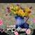 Ardis Fraley's profile image
