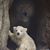 Cindy Westphal Byler's profile image