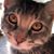 Jason Melinda Krupicka's profile image
