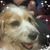 Regina Greco's profile image