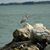 Sherry Garwick Davis's profile image