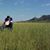 Denise Beal-Estle's profile image