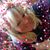 Sheri Erlandson's profile image