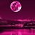 Rosie L. Silva's profile image