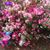 Connie Brown's profile image