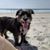 Catherine Eggleston's profile image