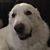 Jennifer Allen's profile image