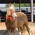 Barb Lewis Gravett's profile image