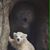 Theresa Morris Terri Lionetti's profile image