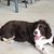 Donna Gardner Murray's profile image
