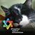 Mary Myers-Huff's profile image