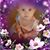 Lin McAfee's profile image