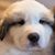 Jamie Stonehouse's profile image