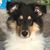 Brenda Britt Burke's profile image