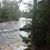 Cindy Stone- Gersky's profile image