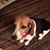 Judy Brian's profile image
