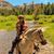 Karen Woodward Kleveno's profile image