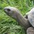 Paula Cooney's profile image